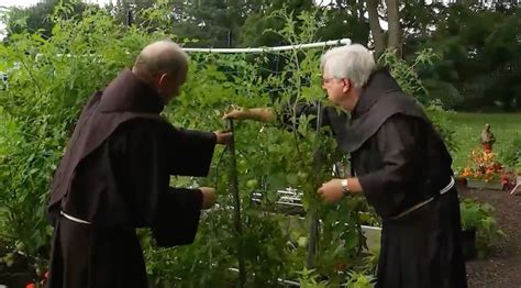 Siena friars go green with garden mission
