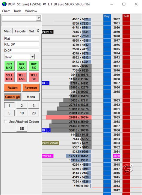 Sierra Chart Book sharing Trading DOM template