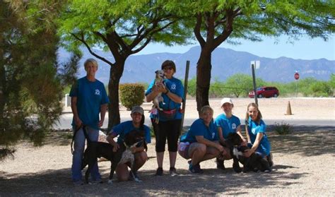 Sierra Vista Animal Control - Adopt a Pet