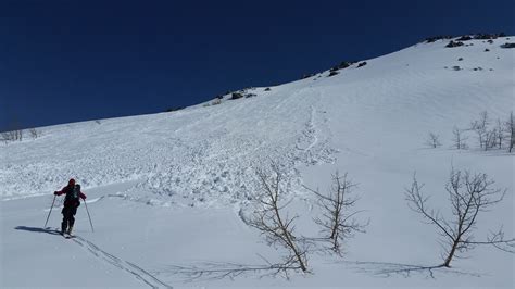 Sierra avalanche center. Driving up to Johnson Canyon today, I saw several new cornice collapses and wet loose avalanches on Donner Peak that must have happened yesterday afternoon. ... Sierra … 