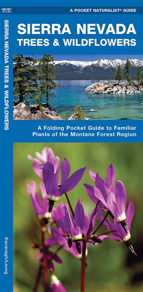 Sierra nevada trees wildflowers a folding pocket guide to familiar species of the montane forest region pocket. - The new century pocket guide for writers 3rd edition.