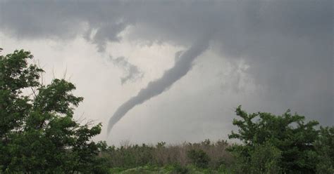 Siete tornados azotan Michigan: al menos cinco muertos, entre ellos una bebé de 1 año