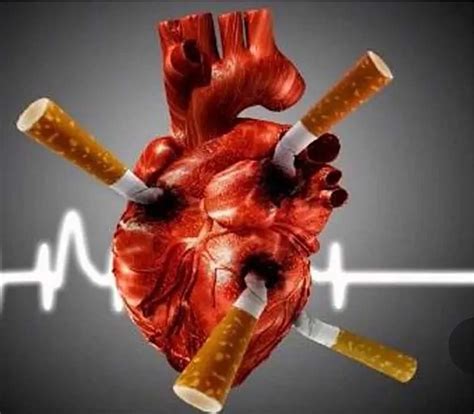 Sigaranın kalbe zararları