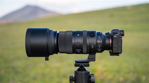 Sigma 150-600 Sports - Reviews BirdForum