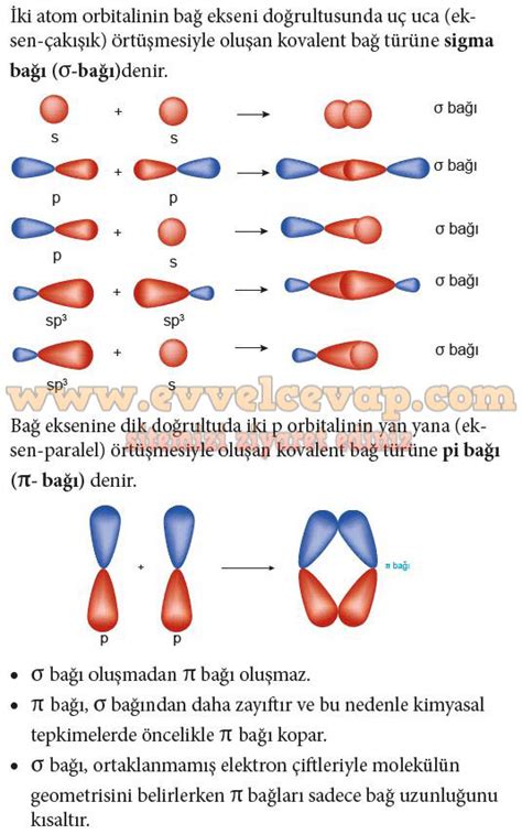 Sigma baği vepi acilll. 