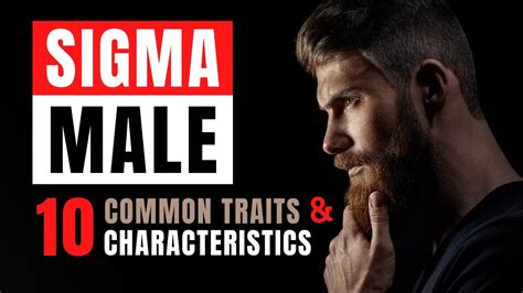 A more internally-focused sibling to the alpha male. While the alpha male quantifies himself on his high position in the social hierarchy, a sigma male prefers to forego the social hierarchy and need for external validation altogether and pursue internal strength instead. . 
