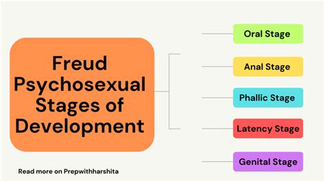 Sigmund freud theory on sexual orientation definition