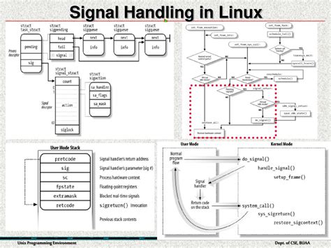 Signal handling in linux.  In single-threaded processes, signal handling is...