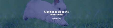 Significado coelho em sonho