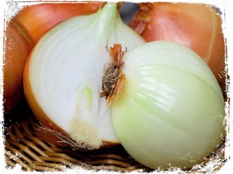 Significado de cebola no sonho