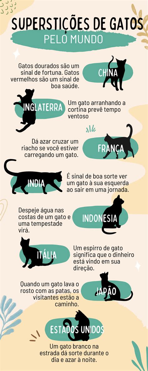 Significado de gatos no sonho