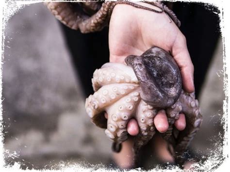 Significado de sonho polvo