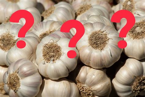 Significado do sonho alho