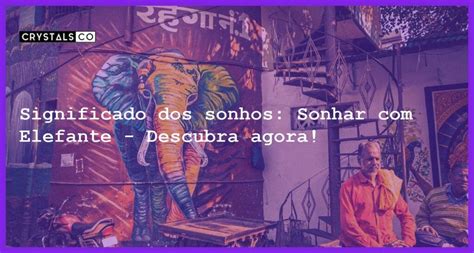 Significado dos sonhos elefante
