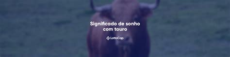 Significado touro em sonho