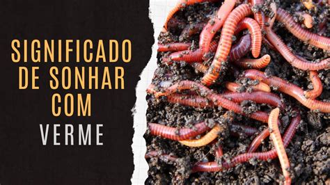 Significado verme em sonho