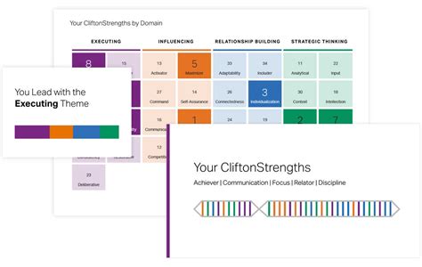 Significance – The Gallup CliftonStrengths (StrengthsFinder) Talent ...