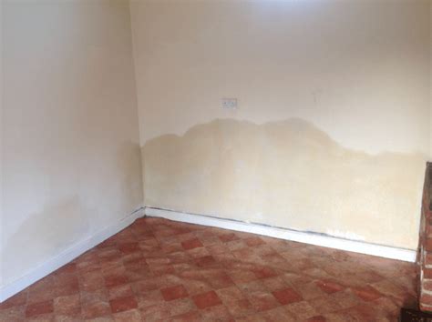 Signs Of Rising Damp How To Identify Rising Damp - Timberwise