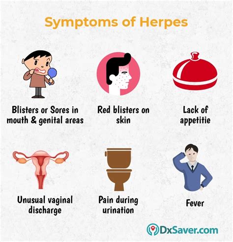 Signs and symptoms of herpes - MyMed.com