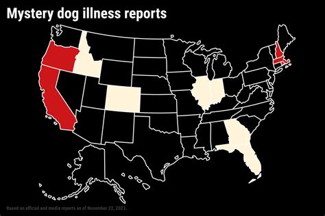 Signs of mysterious respiratory illness affecting dogs reported from California to New Hampshire