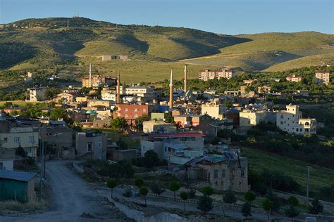 Siirt Tillo En Yakin terapi halı yıkama