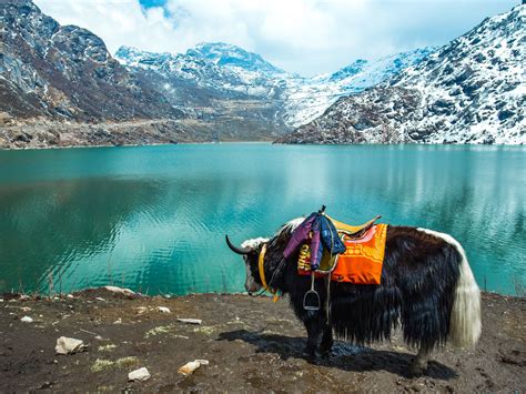 Sikkim Tourism (2024) > Sikkim India Travel Guide, Best Places