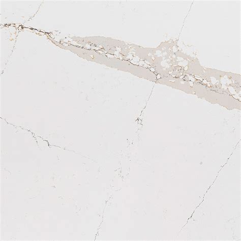 Silestone 4-inch x 8-inch Quartz Countertop Sample in …