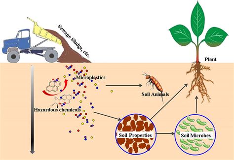 Siletz River nutrients: Effects of biosolids application Science ...