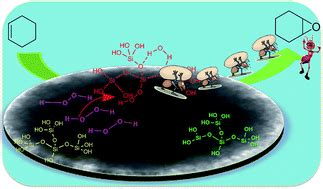 Silica microspheres containing high density surface hydroxyl …