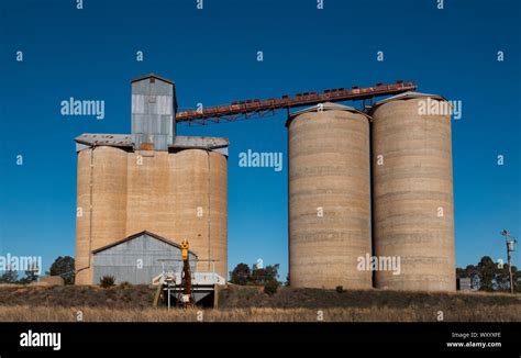 Silos Onlyfans Leak