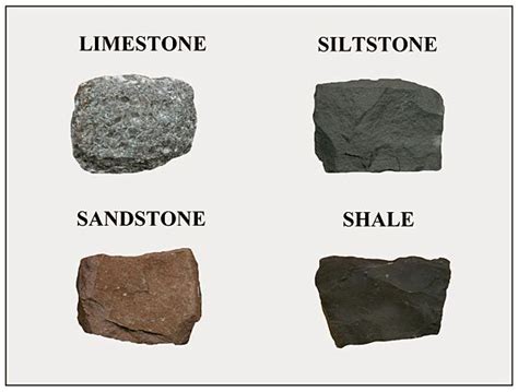 Fine-grained rocks include mudstone, shale, siltston