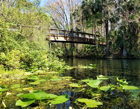 Silver Springs State Park in Ocala VISIT FLORIDA