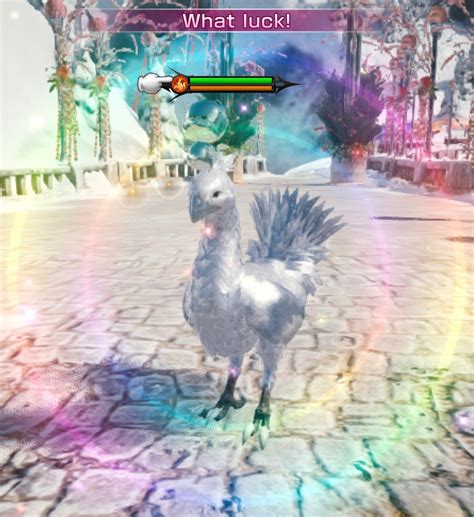 Silver chocobo feather. Silver Chocobo Feather. Miscellany. Lv 1. Untradable. A common symbol of friendship throughout the realm, these brilliant plumes can be exchanged at Calamity salvagers for special rewards. Item Level 1. Sells For 1 Gil. Info. [ Wiki] 