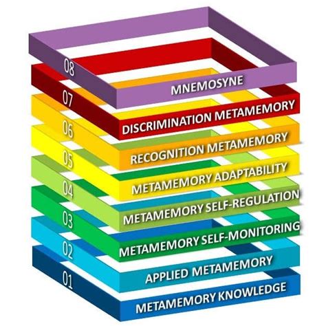Silver eagle memory and aging lab. , metamemory).  Current research directio...