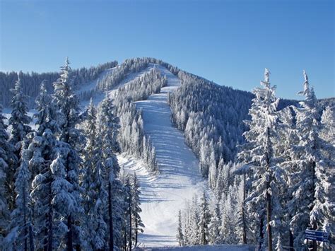 Silver mountain. Feb 16, 2021 · Silver Mountain Resort is home to North America's longest gondola which gives them a ton of vertical to build trails. With a mix of narrow, fast singletrack,... 