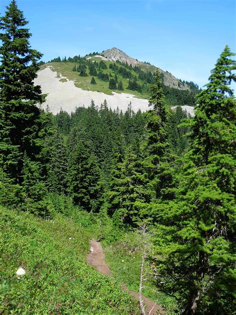 Silver peak washington. .  <a href=http://delta.rtp.ru/knw1d/date-to-string-java.html>mh...