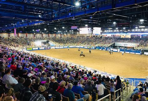 Silver spurs rodeo. 80th Annual Yuma Silver Spur Rodeo presented by Rain for Rent. 3 Performances: February 7, 2024 Gates open @ 2:00 pm, performance @ 4:00 pm – 7:00 pm WEAR PURPLE DAY. February 8, 2024 Gates open @ 2:00 pm, performance @ 4:00 pm – 7:00 pm WEAR PINK DAY. February 9, 2024 Gates open @ 12:00 pm, performance @ 2:00 … 