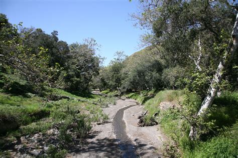 Silverado canyon ca. California DRE #01521930. Find houses for rent in Silverado Canyon, Silverado, CA, view photos, request tours, and more. Use our Silverado Canyon, Silverado, CA rental filters to find a house you'll love. 