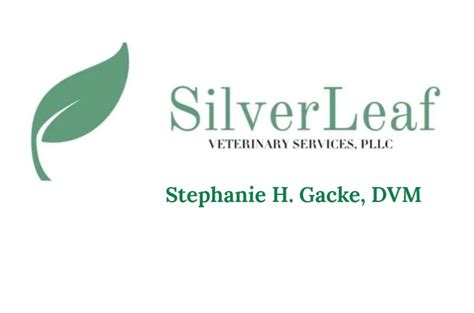 Silverleaf vet