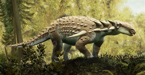 This time: Silvisaurus condrayi. Known only from the Albian-Cenom