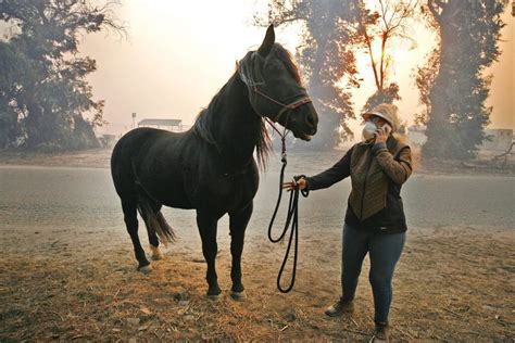 Simi valley acorn obituaries.  With longtime Southern California Edison...