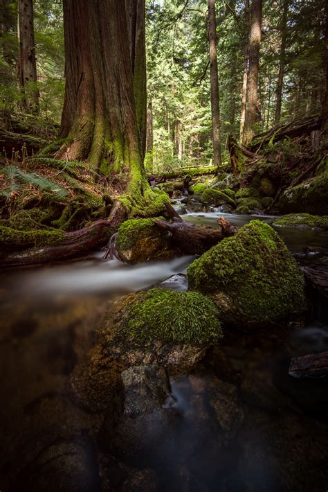 Simon Jackson Nature Labs