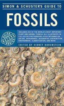 Simon schusters guide to fossils nature guide series. - Camino de perfección (pasion mística, novela.