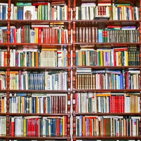 Simona Zupanc Onlyfans Leaked PORN 111 Videos