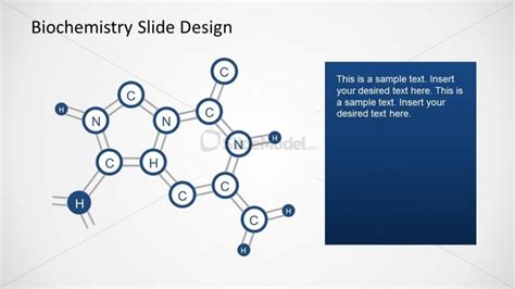 Simple Biochemistry Slide Designs For Powerpoint Slidemodel