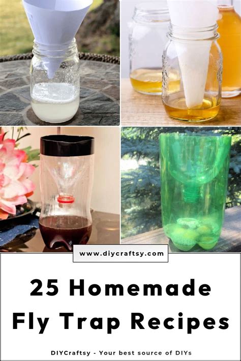 Simple Homemade Fly Trap DIY Project that Works! Homemade fly traps