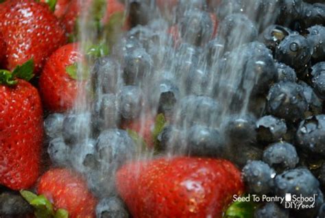 Simple Homemade Fruit and Vegetable Wash - Seed To Pantry …