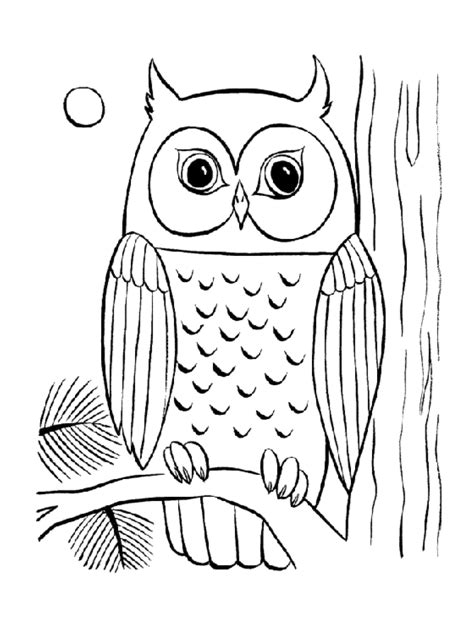 Simple Owl Coloring Pages Bestappsforkids Com