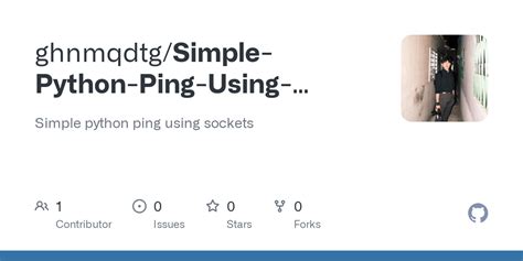 Simple Ping Implementation In Python Using Sockets Define Me Human