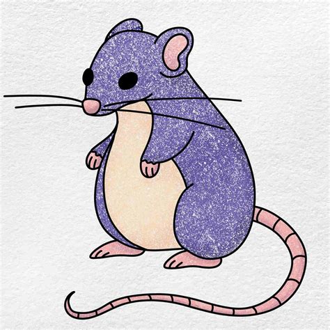 Simple Rat Drawing